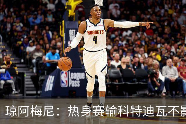 琼阿梅尼：热身赛输科特迪瓦不影响法国，可以说是一次小小的提醒
